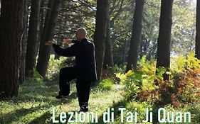 Appartamento 5 Palme
